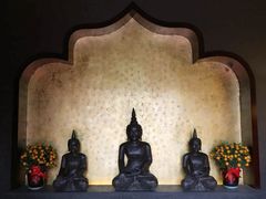 -心足私家足疗SPA(深圳湾店)