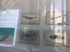 -房山世界地质公园博物馆