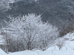 -宜昌富力皇冠假日酒店·咖啡1号西餐厅
