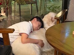 -咖法森林·咖啡  酒吧(天河店)