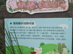 景点-田园东方蜜桃村的田野营地