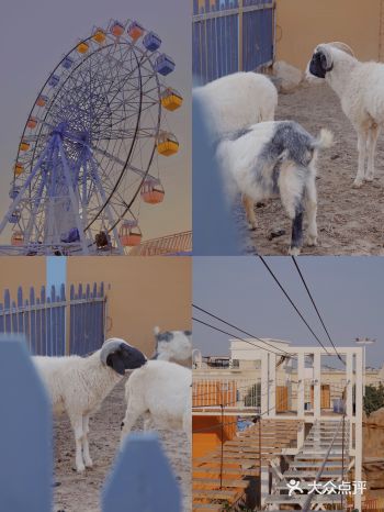 厦门旅游攻略藏在梦幻游乐园的童话牧场