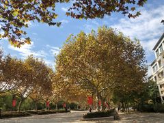 -东华大学(松江校区)