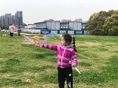 -太湖湖滨国家湿地公园-停车场
