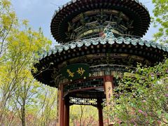 -迎泽公园