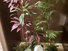 -臻享足道·HIFI影院足疗·泡浴SPA(成华店)