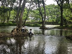 -西溪南古村落