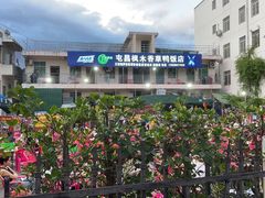 -霞姐屯昌枫木香草鸭店(海螺店)
