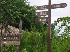 -阳台山自然风景区