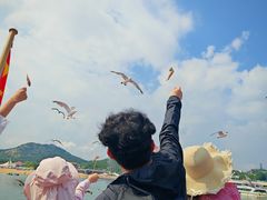 -海驴岛(荣成市)