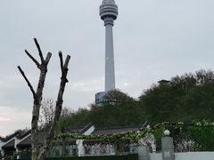 -龟山风景区-龟山电视塔