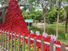 -深圳野生动物园