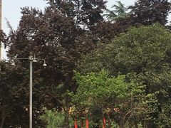 -西安市纺织公园