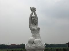 -荷塘月色湿地公园·向阳花洲