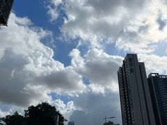 -宝安西湾红树林湿地公园