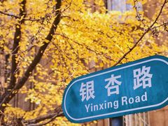 -辽宁大学(崇山校区)