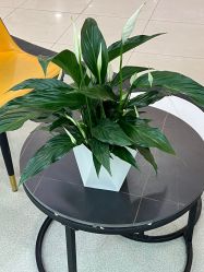-时尚殿堂hair salon