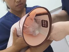 -佳雯宠物医院(金华南路分院)