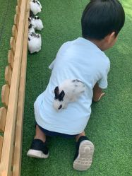 -萌宠亲子动物乐园(槐房万达店)