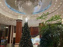 -上海圣淘沙万怡酒店