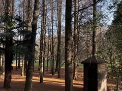 -同里国家湿地公园