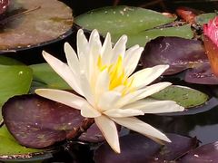 -午潮山国家森林公园