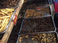 -昆虫窝子·特色云南菜(拓东路总店)