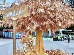 -万科生活广场(东莞松山湖店)