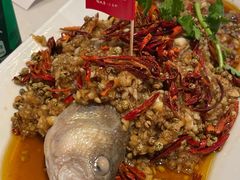-杨氏青龙虾·羊蝎子(托乐嘉店)
