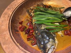 -饭怕鱼·黄焖鲟龙鱼(湖大店)