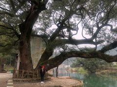 -上坦村