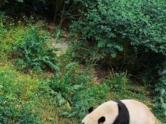 -黔灵山公园