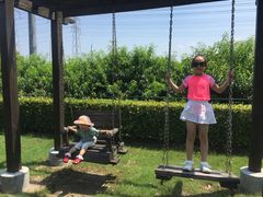 -宏泰园蔬果专业合作社