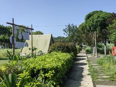 -洪湖家庭农场·团建·露营·会议