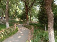-丰台科技园生态主题公园
