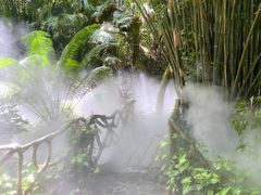 -呀诺达热带雨林