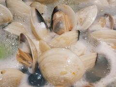 -拾下卜卜贝•海鲜火锅