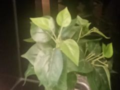 -德全心悦酒店(北京金台路地铁站店)