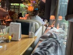 -咖法森林·咖啡  酒吧(天河店)