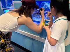 -芜湖新华联大白鲸海洋公园