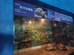 -泉州海丝野生动物世界