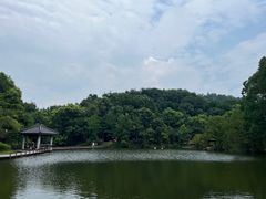 -千岛湖东南湖区