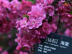 -国家植物园