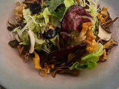 -Hi City·城市之巅