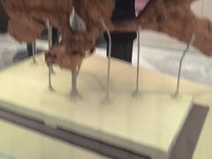 -北京周口店北京人遗址博物馆