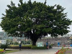 -石炮台公园