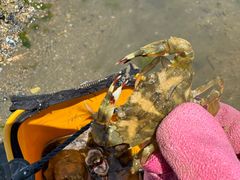 -东戴河风景区-止锚湾