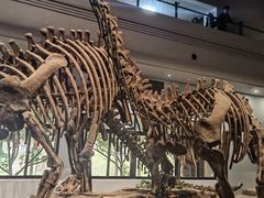 -自贡恐龙博物馆
