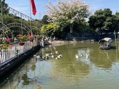 -新合益乡村农庄
