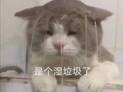 -地锅公社·现炒地锅鸡·地锅鱼·夜宵(罗锦路店)